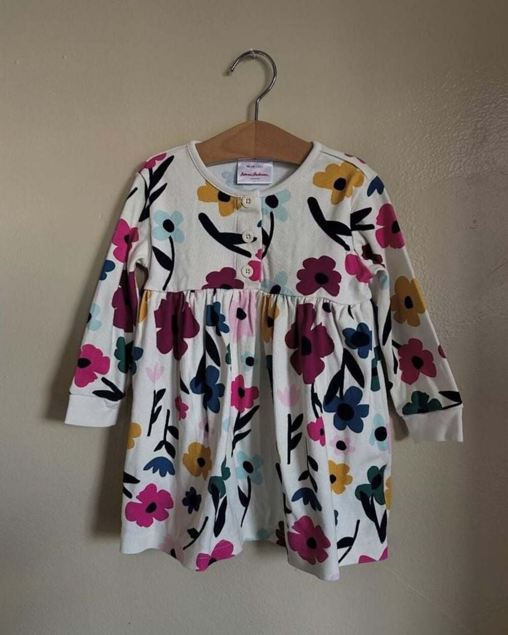 Hanna Andersson Floral Long Sleeve Button Front Dress Size 3T / 90cm